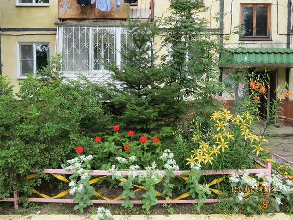 Палисадник дома по ул. Калараша в Хабаровске. Фото с сайта ТСЖ «Благо»