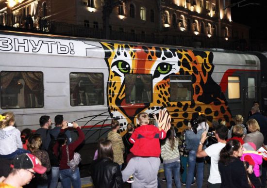 Поезд пронес идею заботы о тиграх и леопардах через всю страну