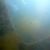 Пароход «Челюскин» впервые засняли на видео на дне моря