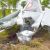 Следствие уточнило время авиакатастрофы самолета «Аэропракт» под Хабаровском