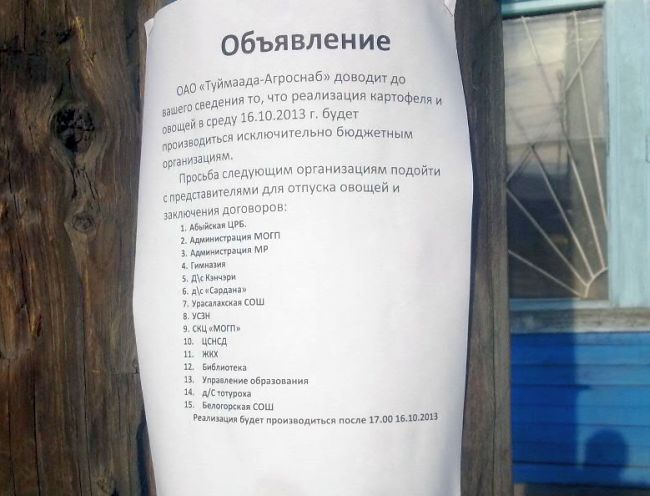 Отдельное возмущение местных жителей вызвало появление объявлений, расклеенных на столбах в поселке Белая Гора, где сообщалось о том, что 16 октября овощи будут продаваться исключительно для сотрудников бюджетных организаций по списку