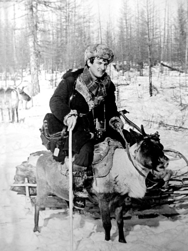 Немного постояв, олень упал - не выдержал веса. Охотск, 1975 год.