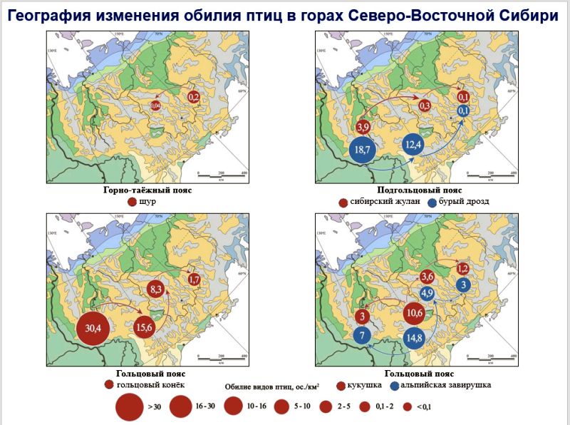 География изменения обилия птиц в горах Северо-Восточной Сибири