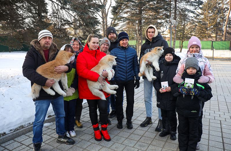 Олег Кожемяко подарил щенков акита-ину приморским семьям