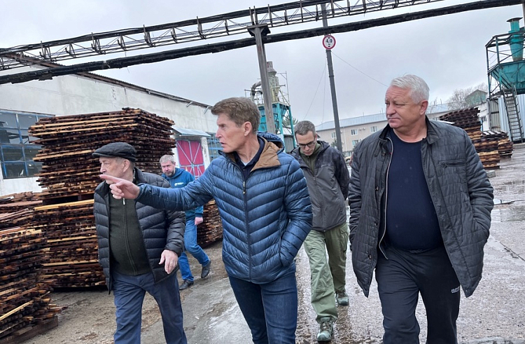 Правительство Приморья окажет поддержку пострадавшему от пожара предприятию в Лесозаводске