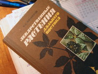 Знаменитая книга доктора наук Н.Фруентова (нажмите, чтобы увеличить)