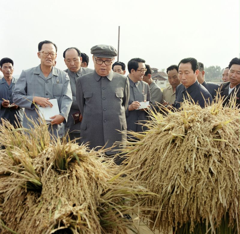 В Сонсокском сельхозкооперативе уезда Пхёнвон. Сентябрь 70 года чучхе (1981).
