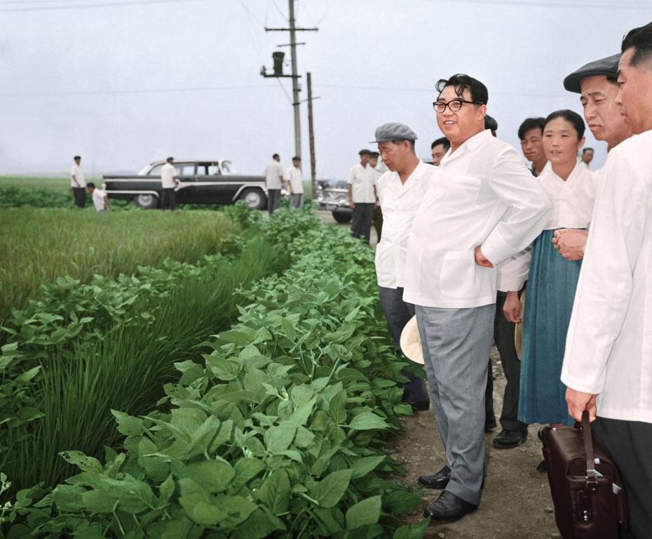 На поле Мигок. Август 1970 года.