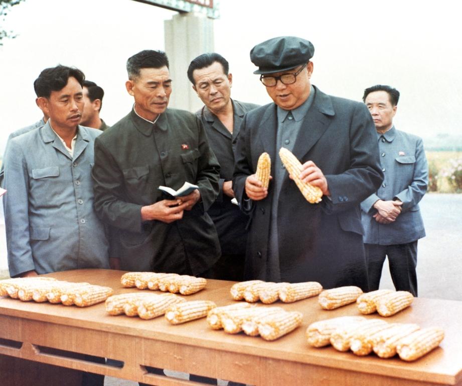 В Рёнчхонском сельхозкооперативе уезда Хванчжу. Сентябрь 1979 года.