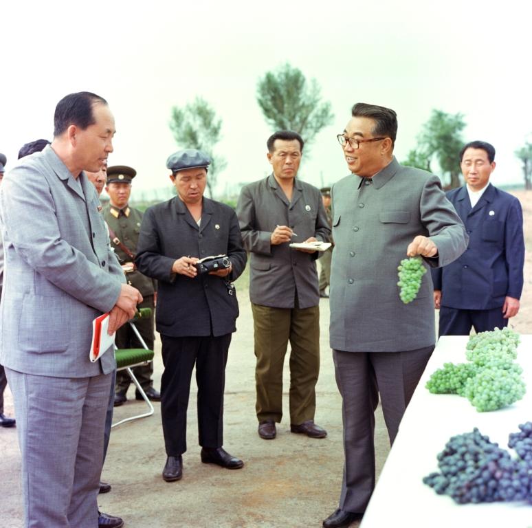 В Саривонском плодоводческом хозяйстве. Сентябрь 1979 года.