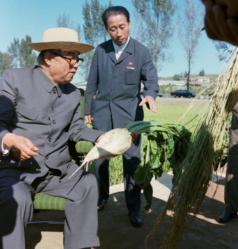 В Чхонсанском сельхозкооперативе города Нампхо. Сентябрь 1980 года.