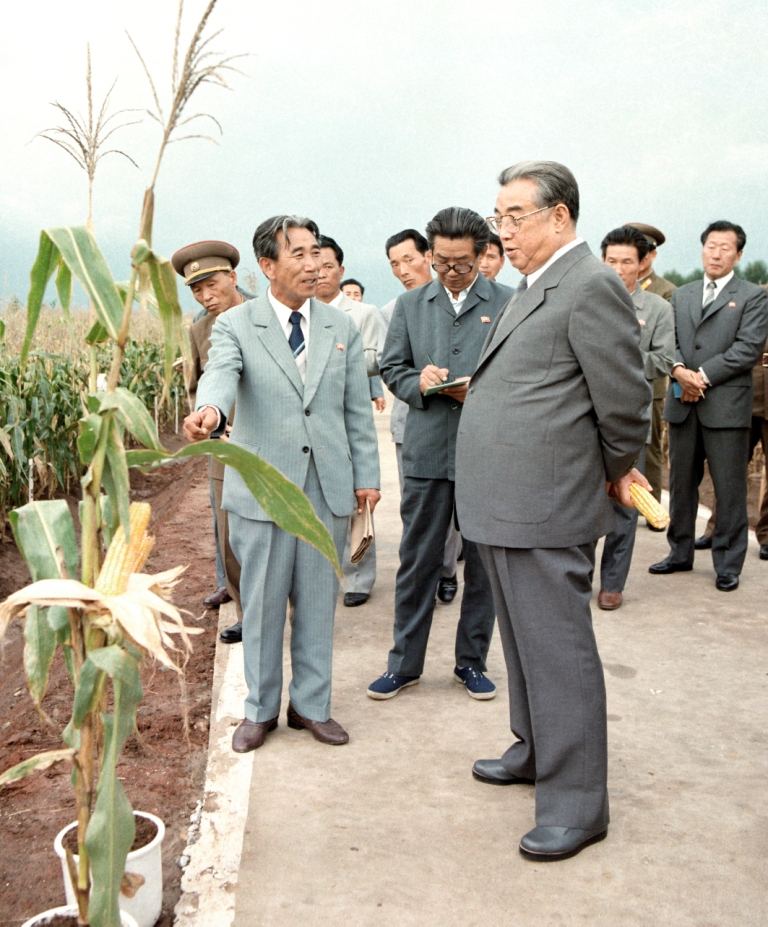 На опытной станции Академии сельскохозяйственных наук. Сентябрь 1986 года.