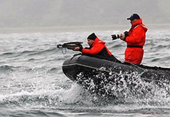 Целиться, стрелять и попадать в кита Владимир Путин начал одновременно. Фото: РИА Новости/ STF