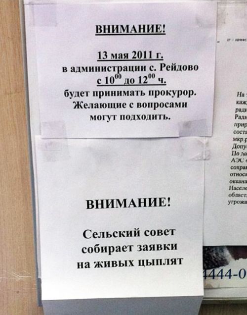 Доска объявлений в офисе комбината  (фото Владимир Мамонтов)