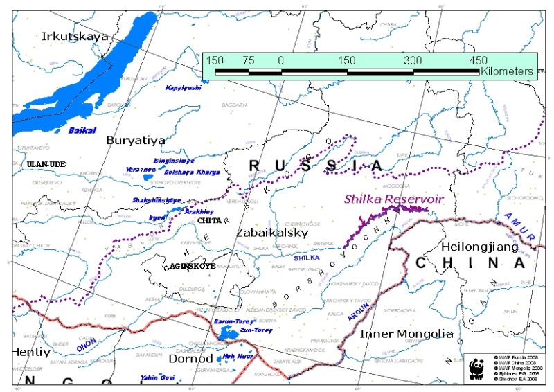 При строительстве Транссибирской ГЭС на Шилке появится Шилкинское водохранилище (темно-малиновым цветом)